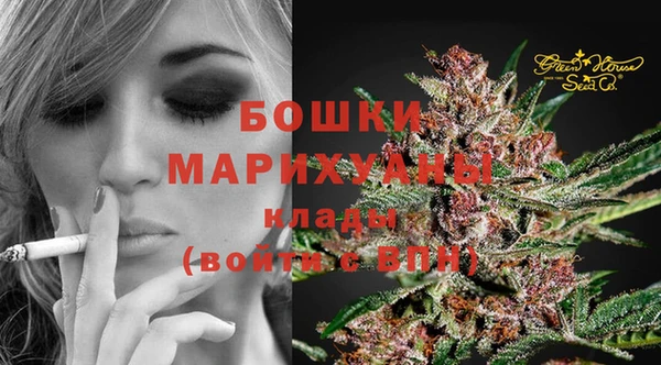 гашик Белокуриха