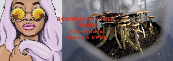 молекула духа Балабаново