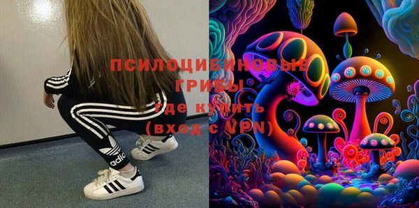 ГАЛЛЮЦИНОГЕННЫЕ ГРИБЫ Балахна