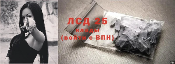 стафф Аркадак